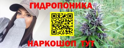 мяу мяу мука Лесосибирск