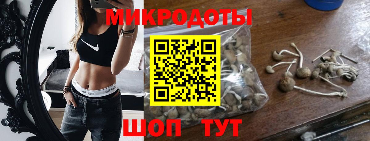 Зеленодольск  Галлюциногенные грибы ЛСД  Вход с VPN 